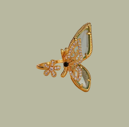 Mariposa 🔴